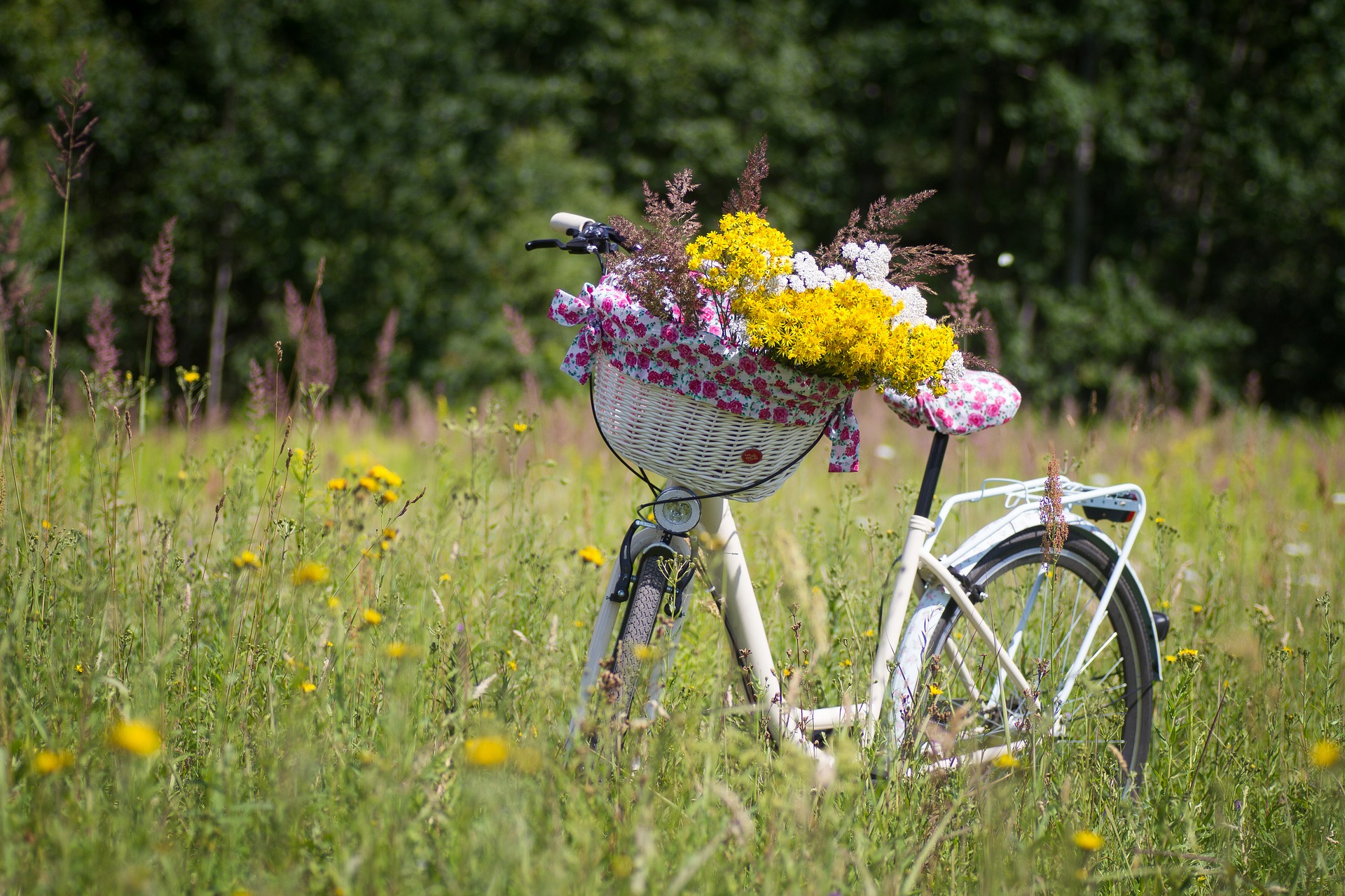 polkupyörä ja kukkakimppu kedolla